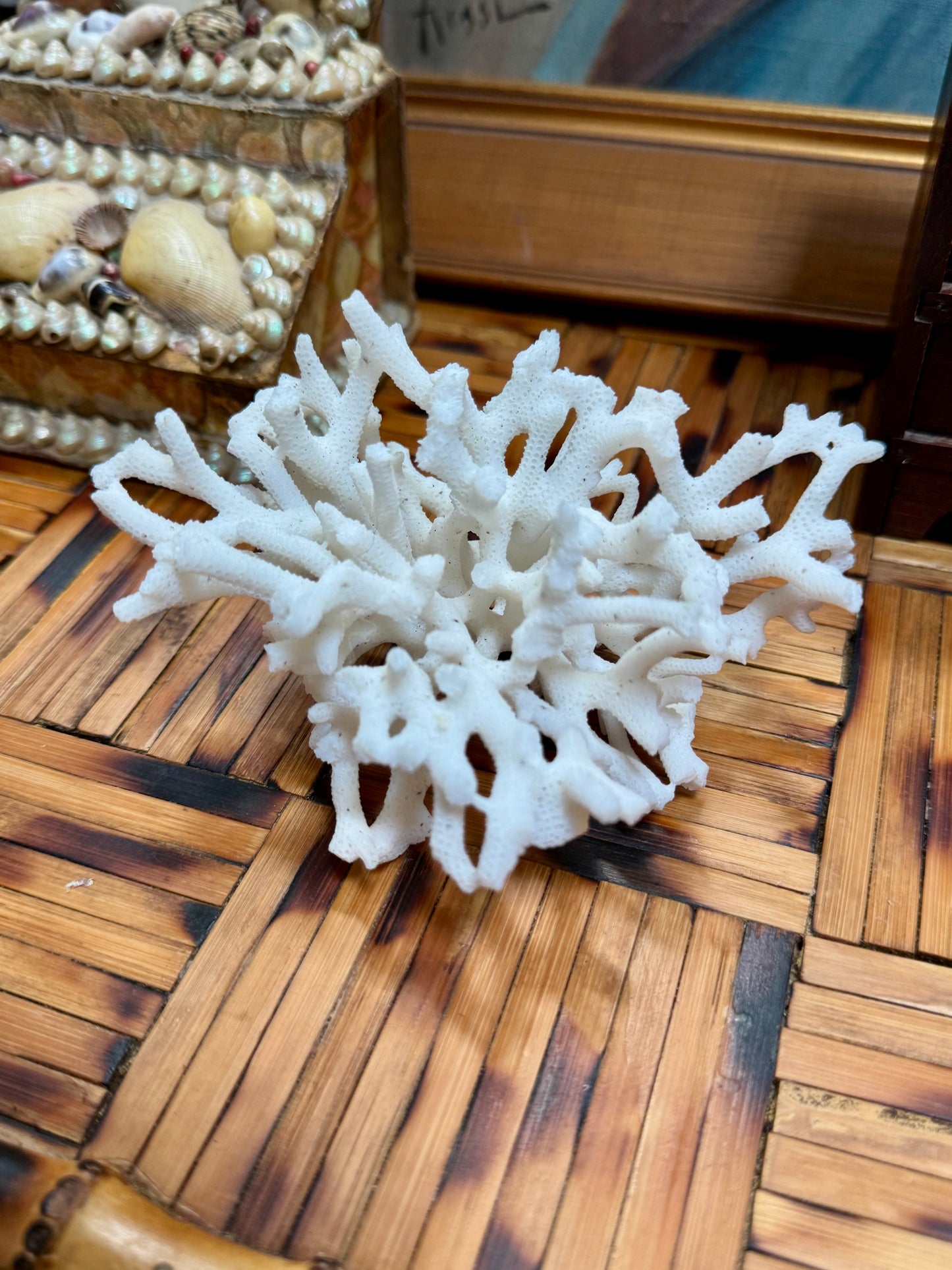 Ruffle Edge Bowl with Birds Nest Coral Decor