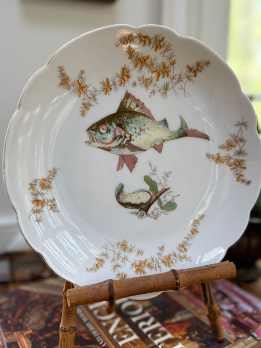 LS&S Carlsbad Austria Fish Plate