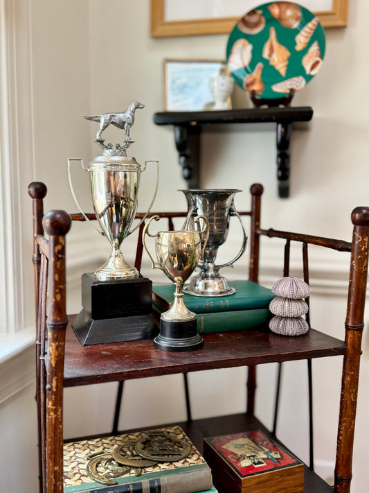 Dog Trophy
