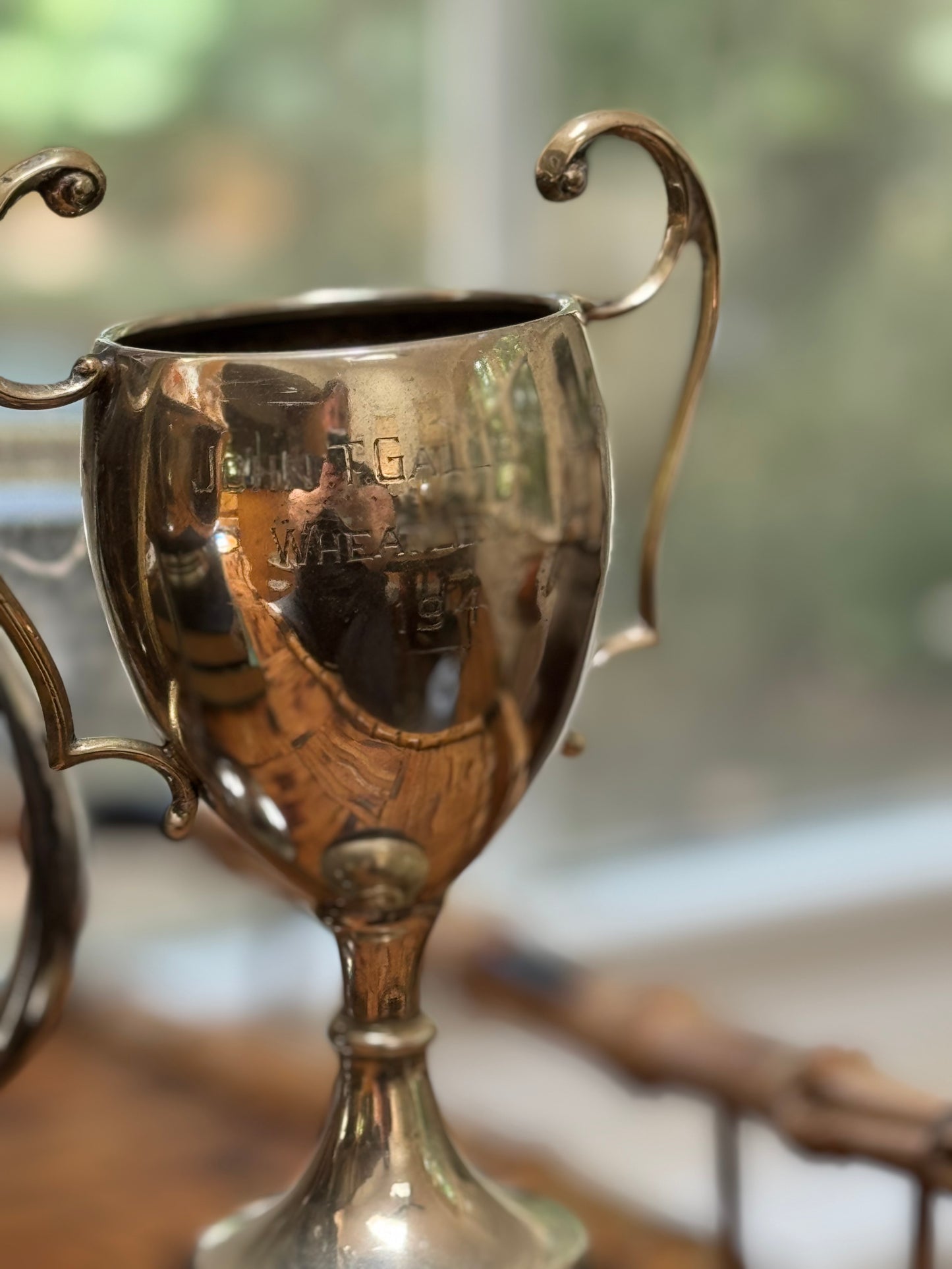 Silver trophy with engraved text on a blurred background