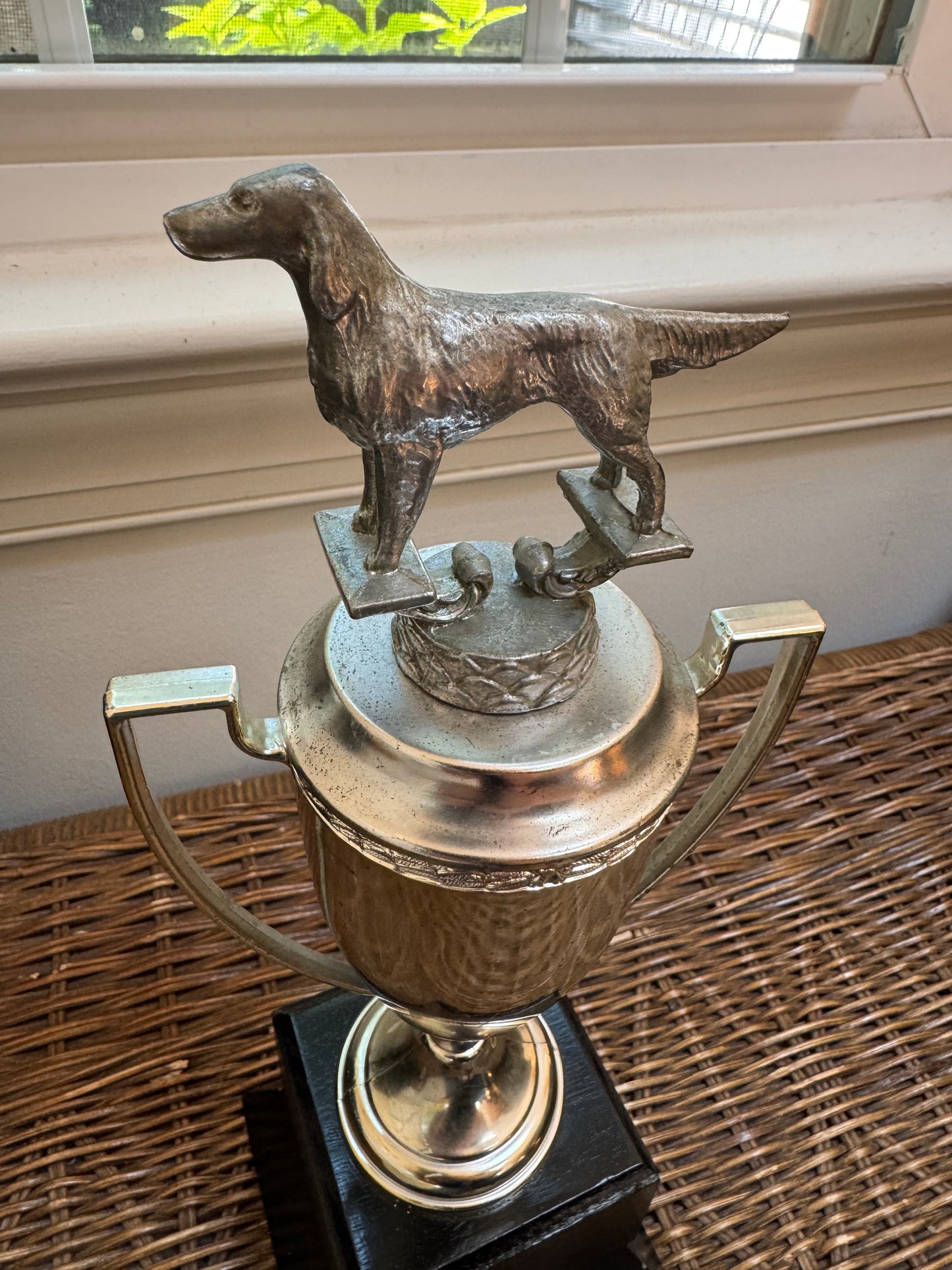Dog Trophy