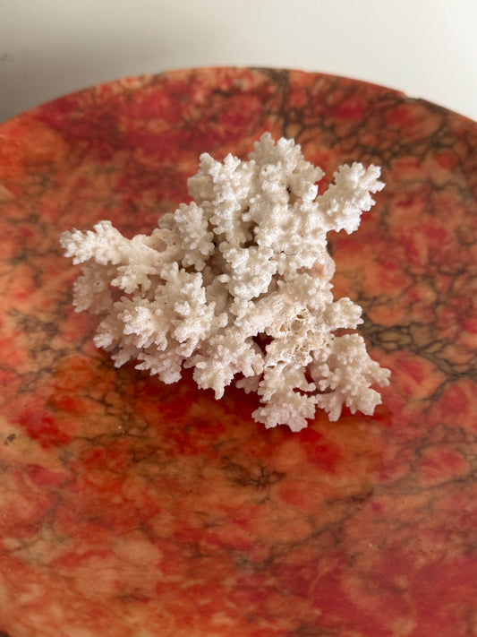 Vintage Natural Branch Coral