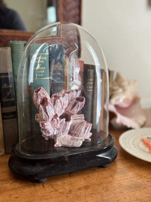 Antique Oval Glass Domed Cloche