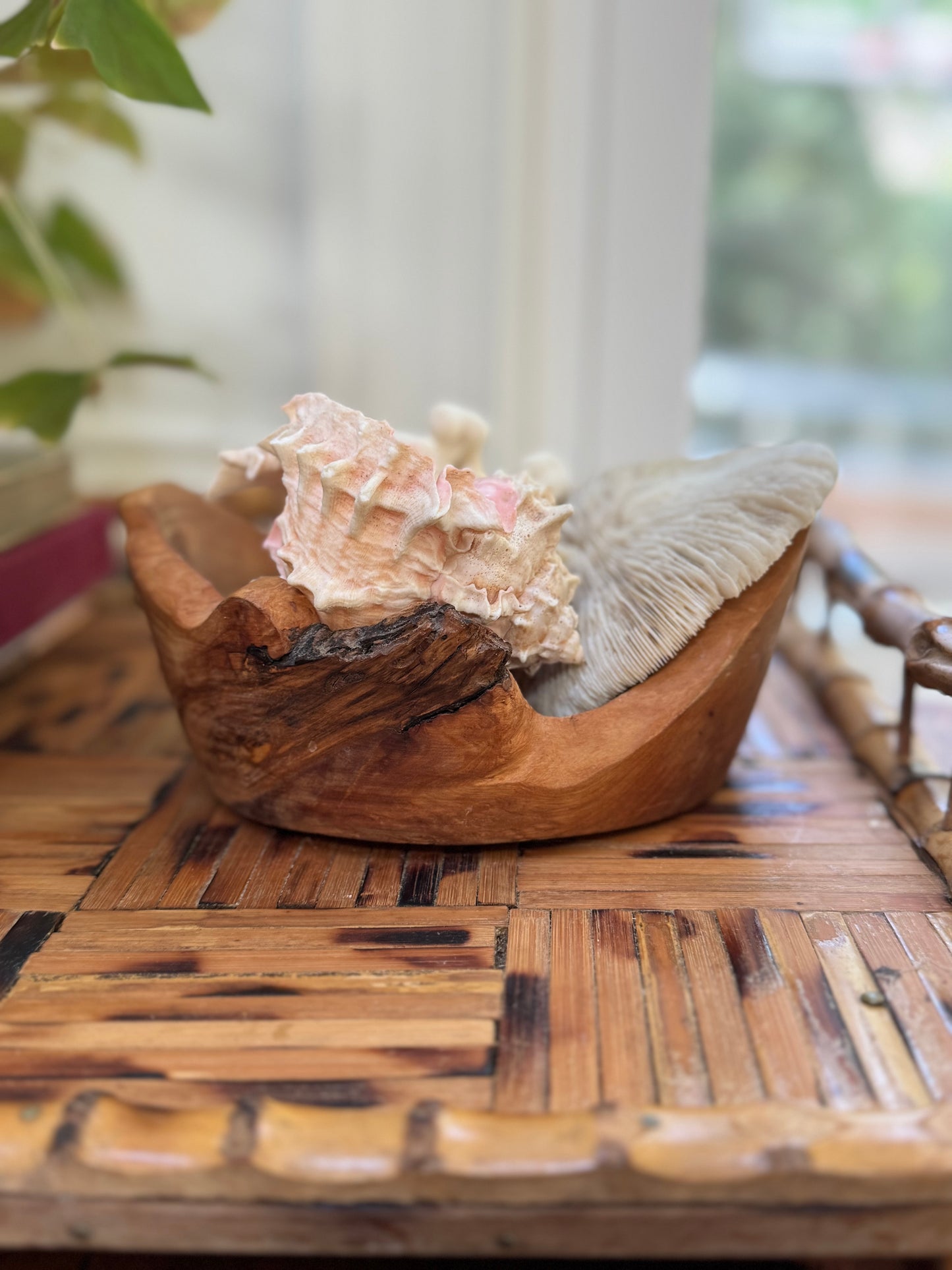 Burlwood Wine Bottle Coaster