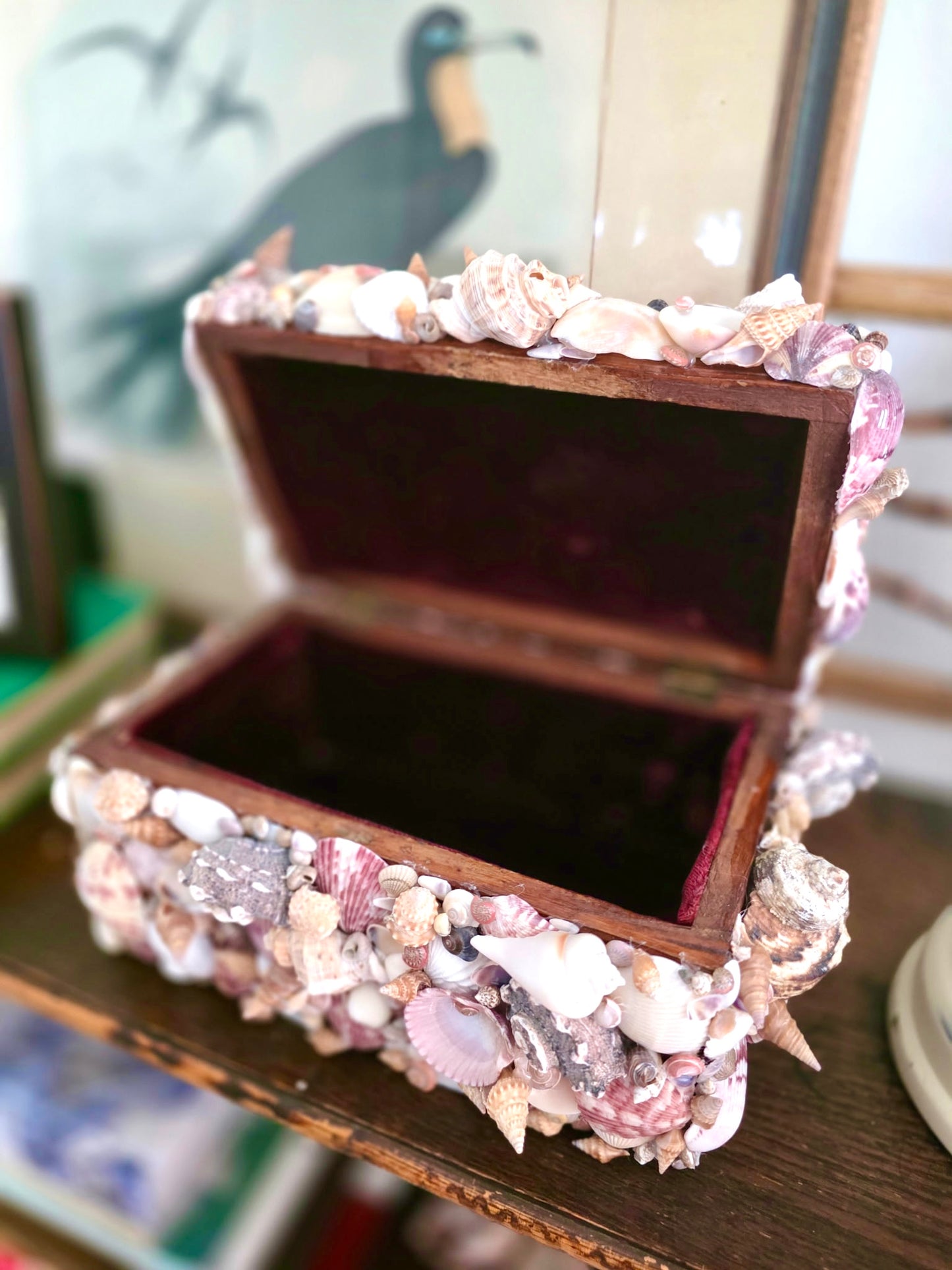 Shell Encrusted Box