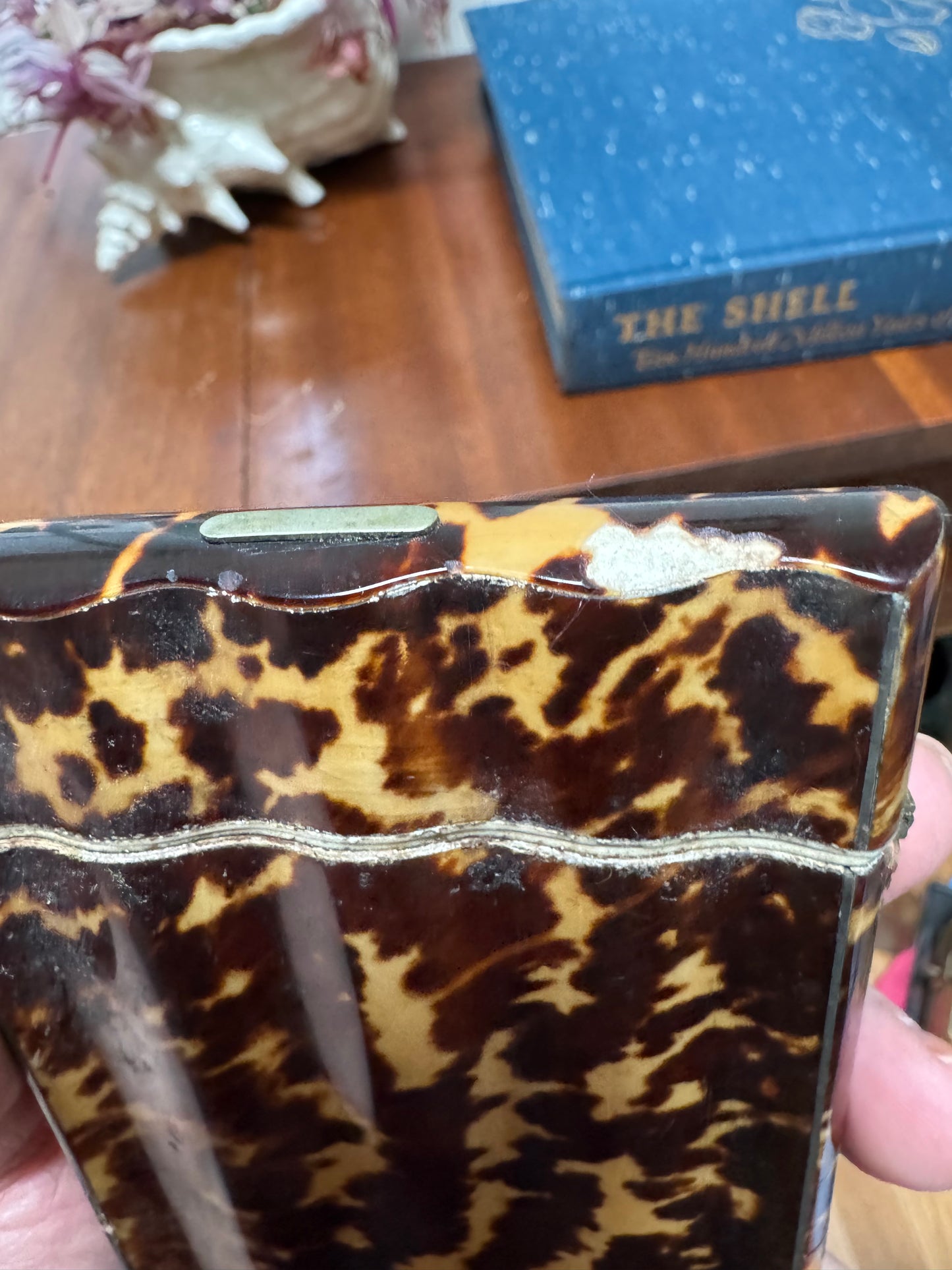 Antique Tortoiseshell Calling Card Holder