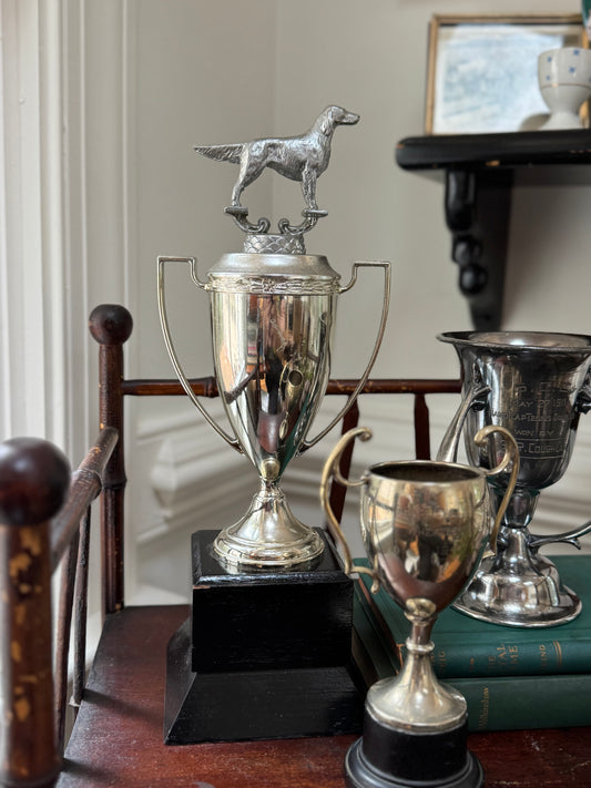 Dog Trophy