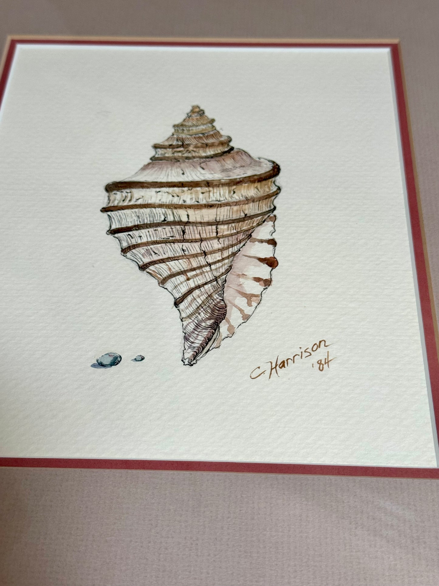 Original Signed Shell Watercolor Paintings, Pair
