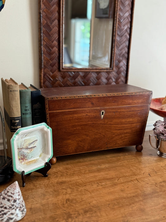Antique Georgian Tea Caddy