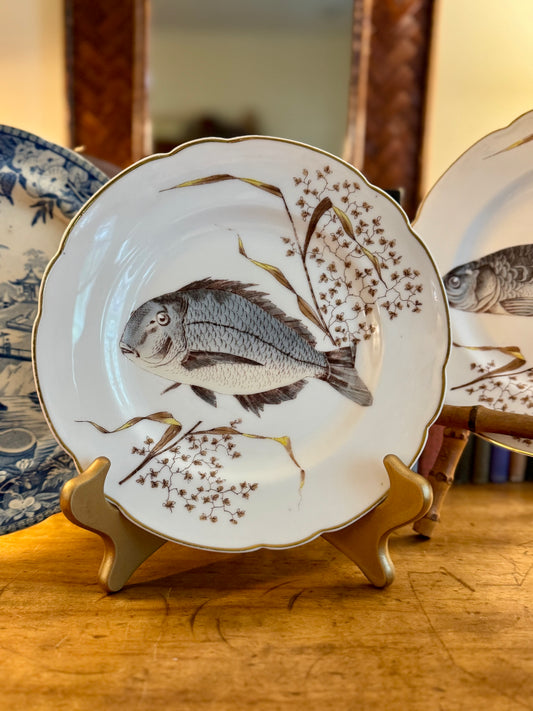 Vintage Carlsbad Austria Naturalist Fish Plate