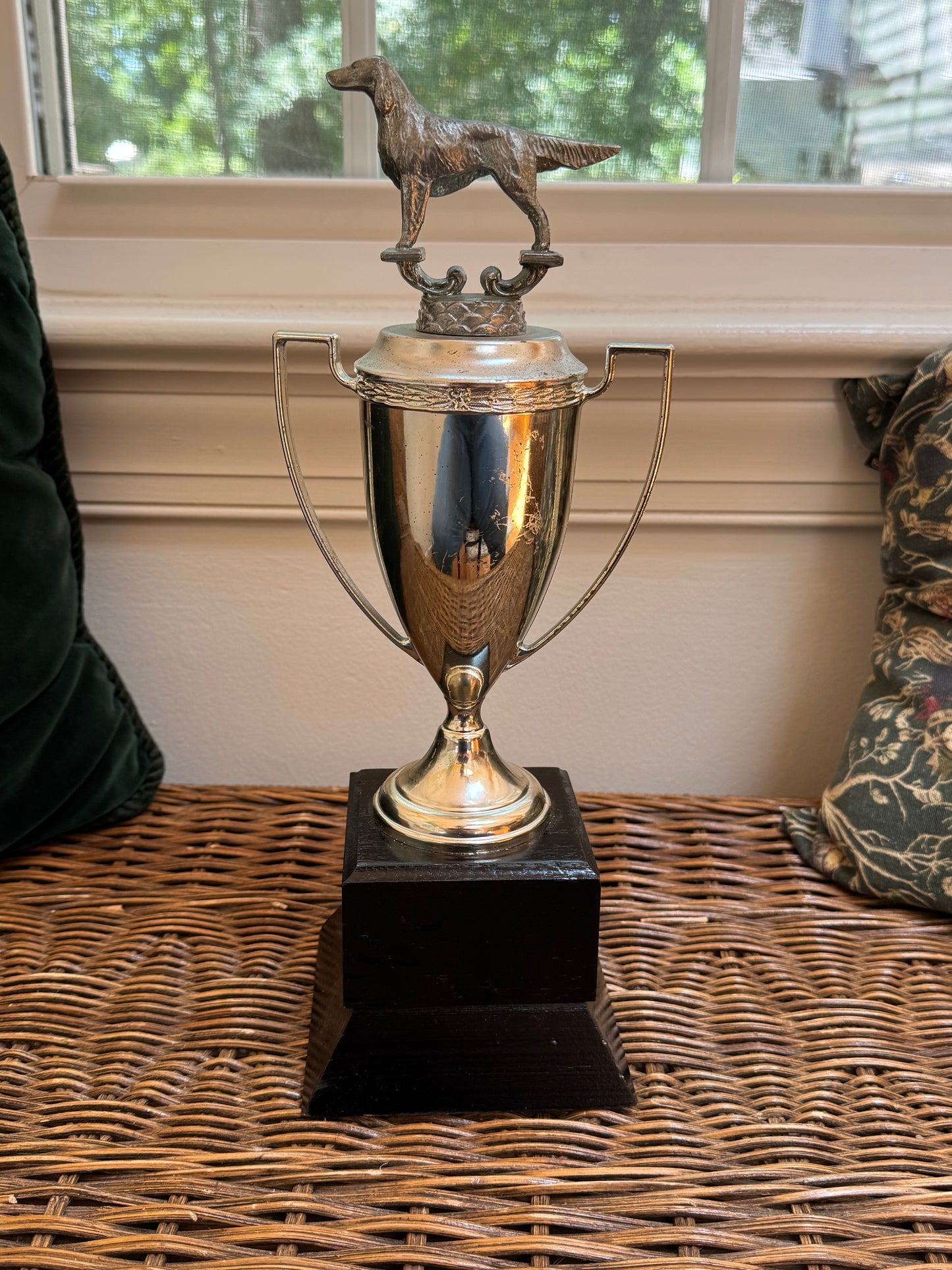 Dog Trophy