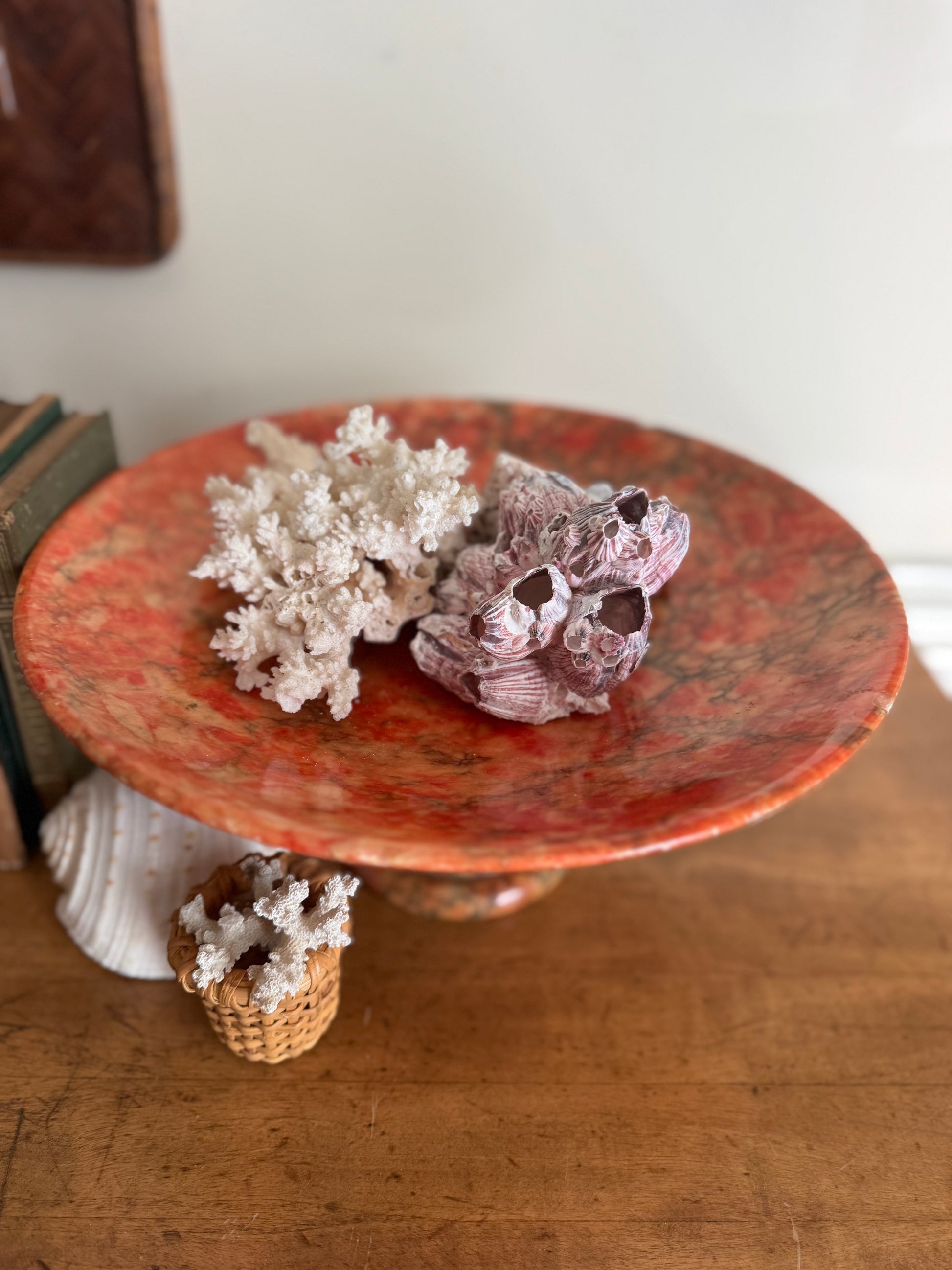 Decorative coral on a round, reddish-brown stone surface with a neutral background