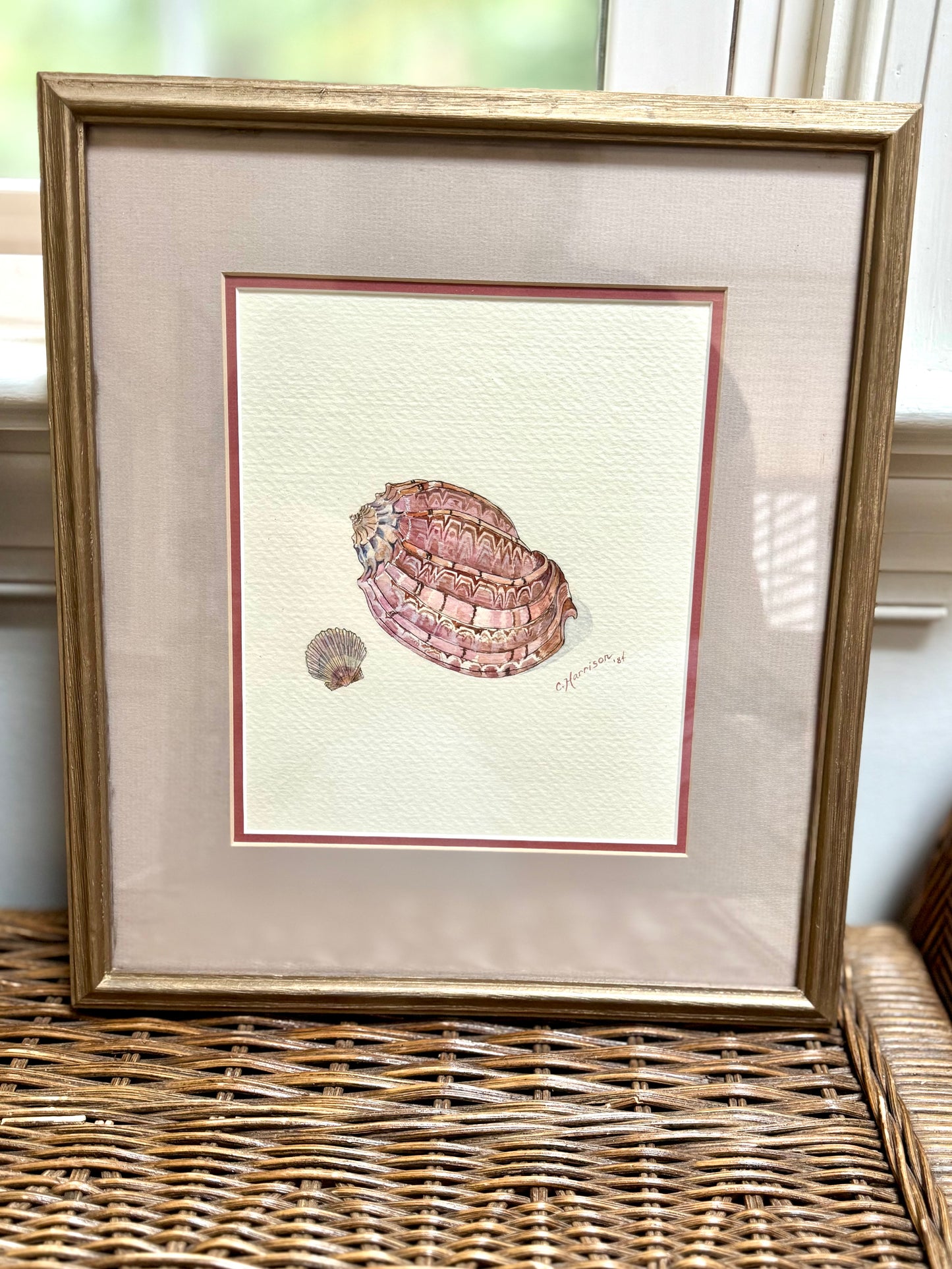 Original Signed Shell Watercolor Paintings, Pair