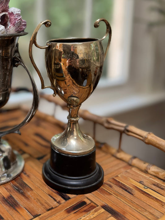 Decorative silver urn and small trophy on a wooden surface with a blurred background