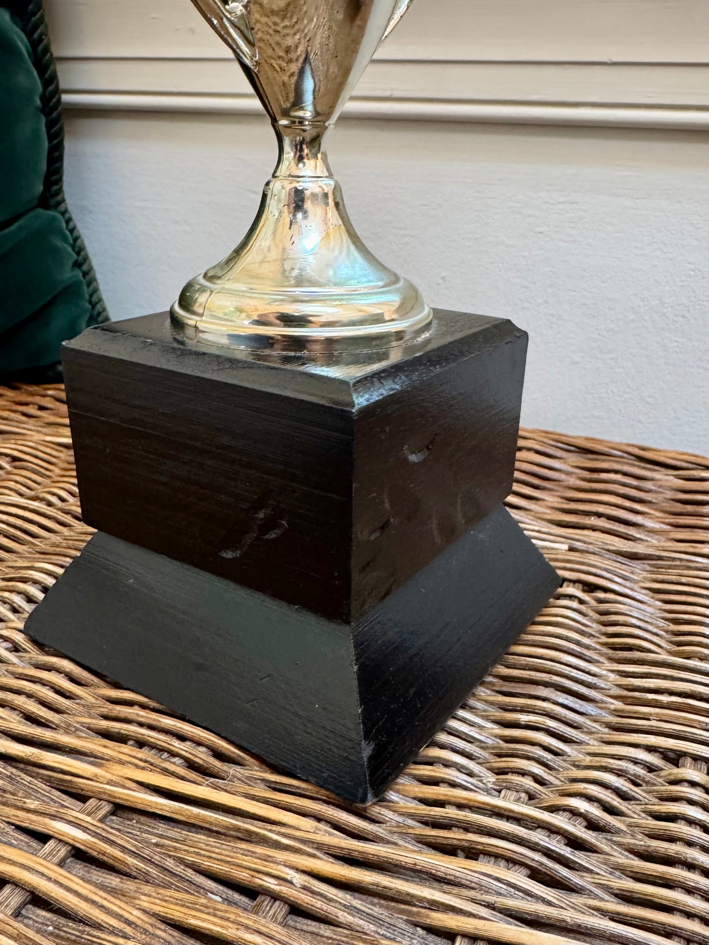 Dog Trophy
