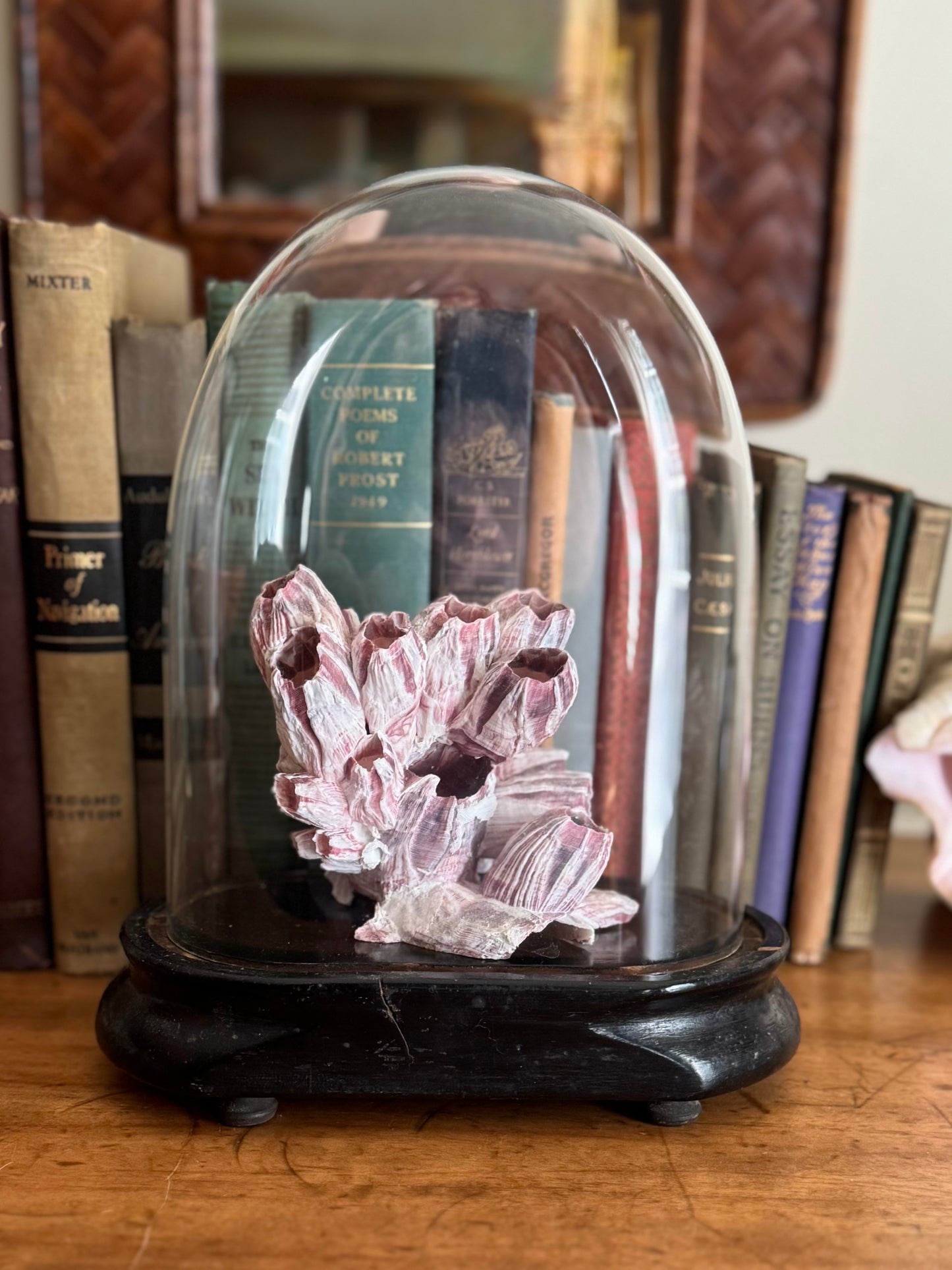 Antique Oval Glass Domed Cloche