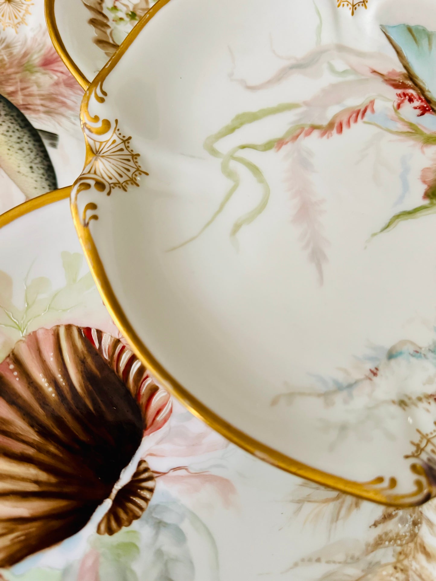 Limoges Plates, Set of 8