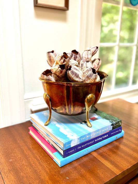 Footed Brass Scalloped Jardiniere