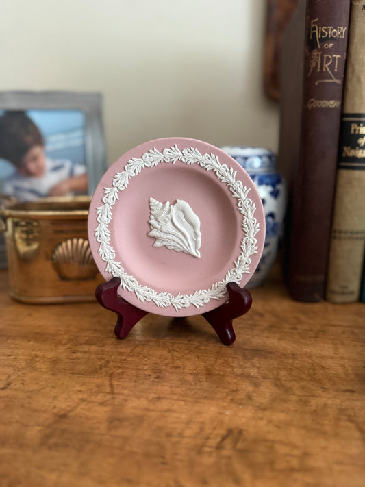 Wedgwood Pink Jasperware Conch Shell Trinket Dish