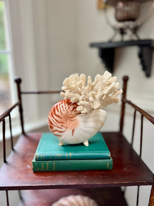 Fitz and Floyd Nautilus Shell Planter